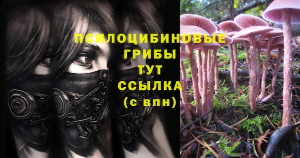 кокаин Лабытнанги