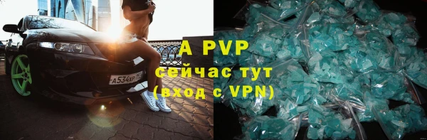 шишки Бердск